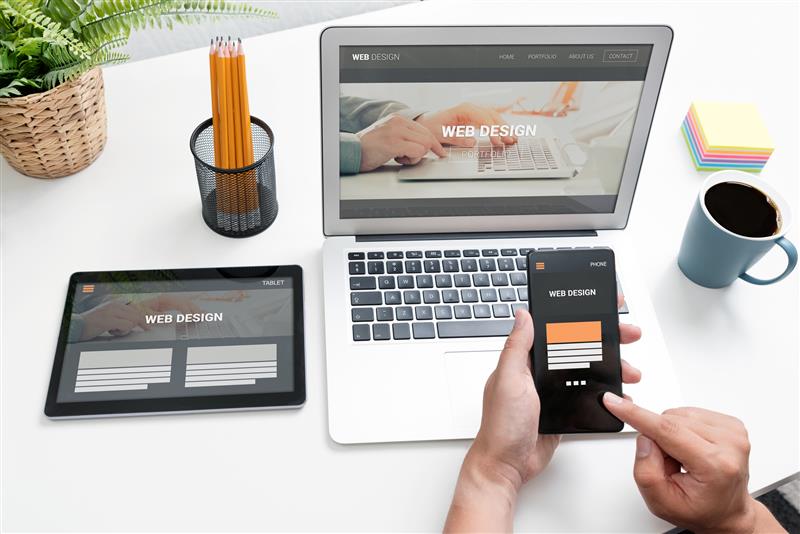 Difference Between Web Design and Development